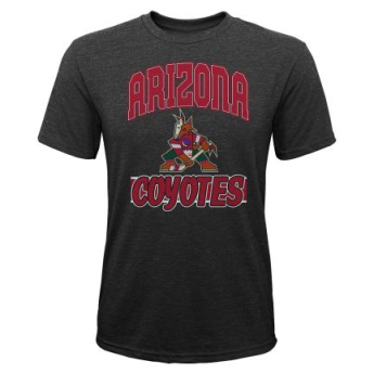 Arizona Coyotes dječja majica All Time Great Triblend black