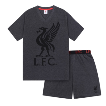 FC Liverpool muška pidžama SLab grey
