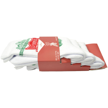 FC Liverpool set čarapa Sport