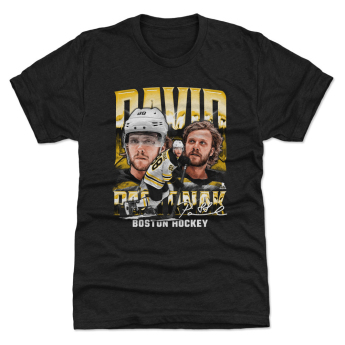 Boston Bruins dječja majica David Pastrnak #88 Vintage WHT 500 Level