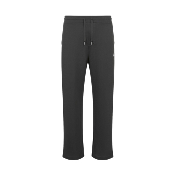 Mercedes AMG Petronas muške hlače Relaxed Fit grey F1 Team 2024